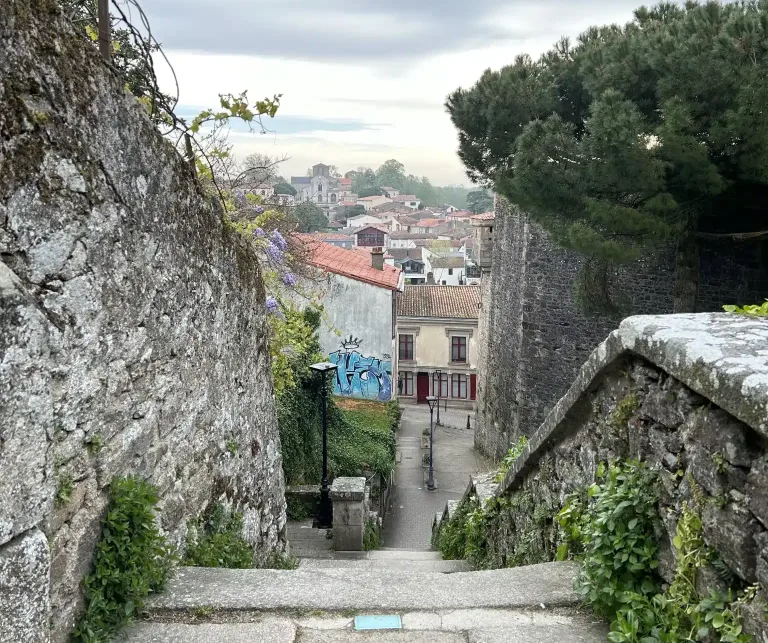 Escalier du château de Clisson à la vallée de la Sèvre